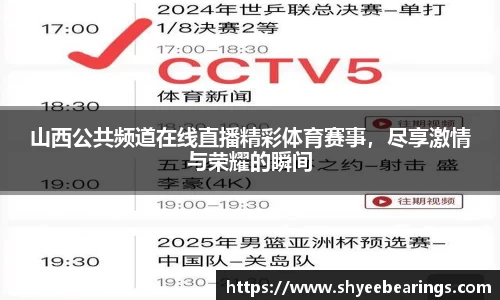山西公共频道在线直播精彩体育赛事，尽享激情与荣耀的瞬间